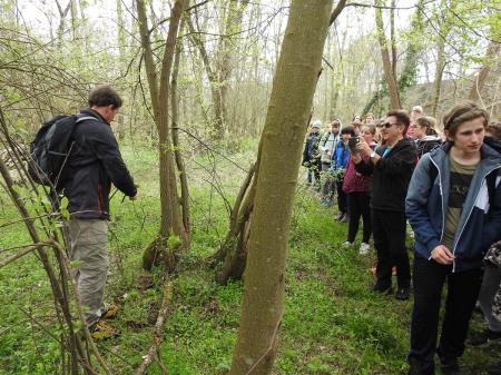 7. april, mednarodni dan bobra in Dan za spremembe 8